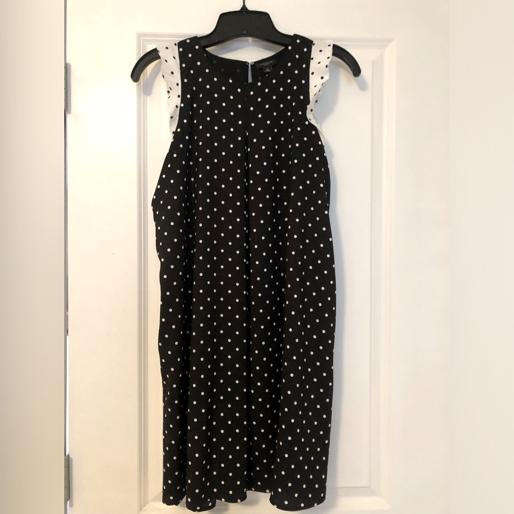 Ann Taylor Polka Dot Dress
